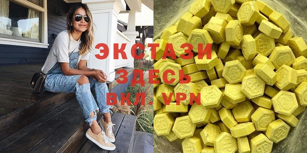 шишки Аркадак