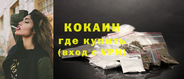 шишки Аркадак