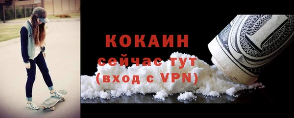 шишки Аркадак