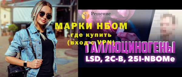 шишки Аркадак