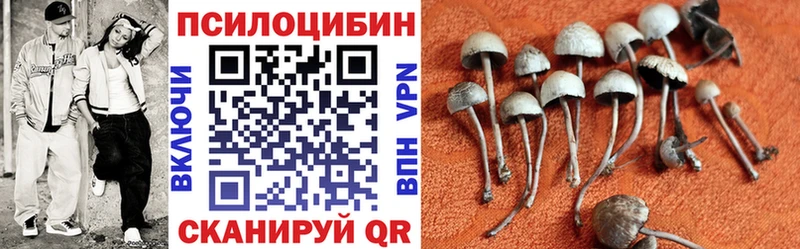Псилоцибиновые грибы Psilocybine cubensis  даркнет сайт  Оха 